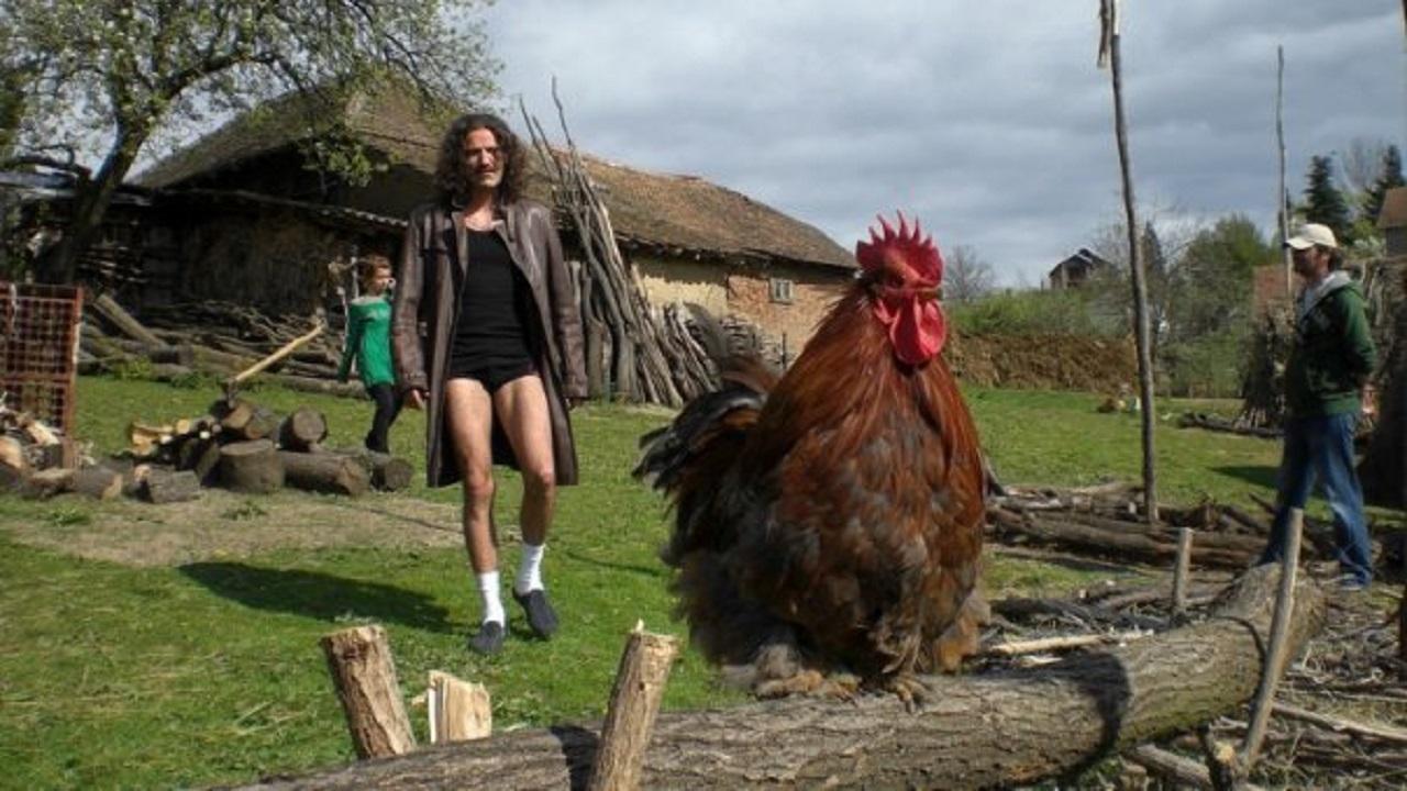 Moj rodjak sa sela