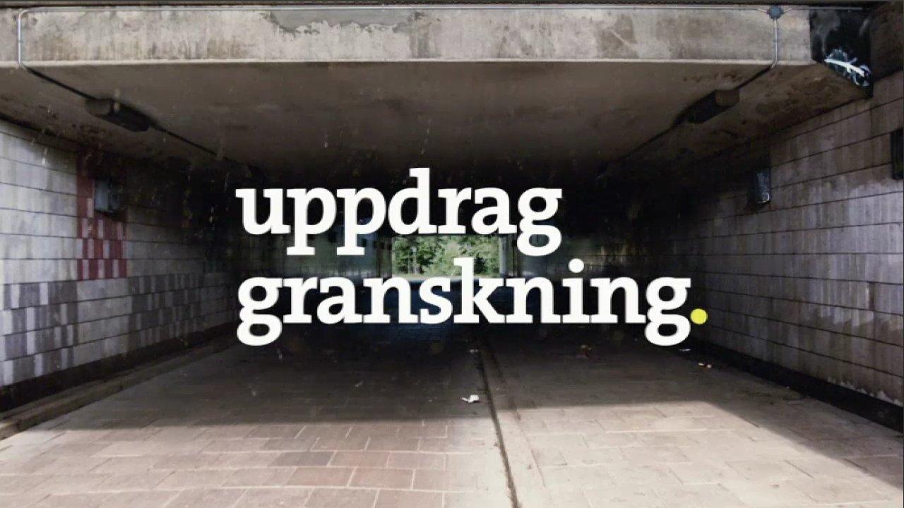 Uppdrag granskning