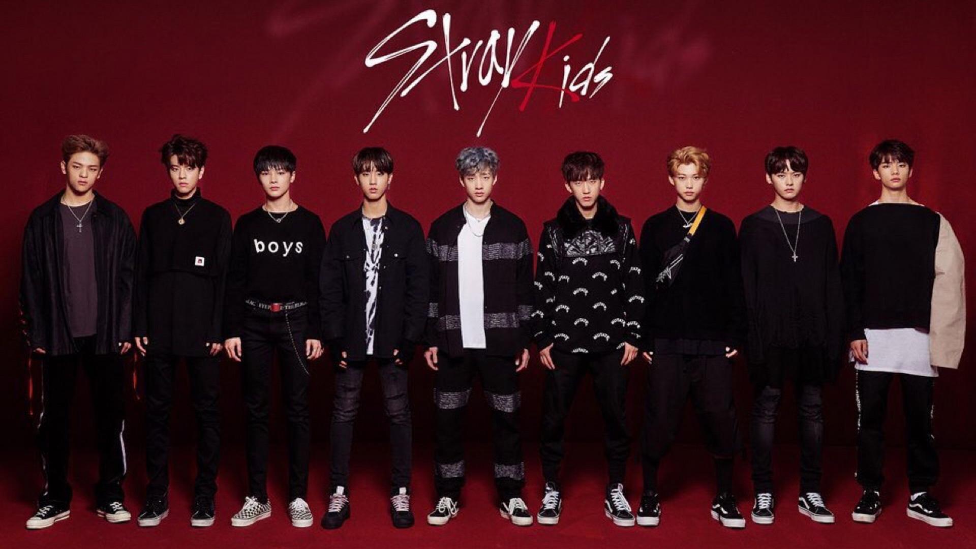 Stray Kids: Stray Cuts