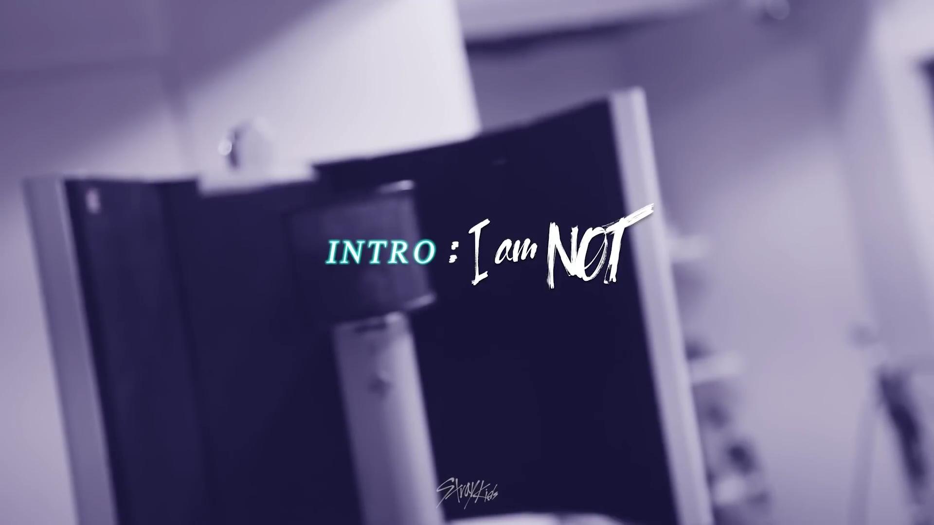 Stray Kids: INTRO: I am NOT