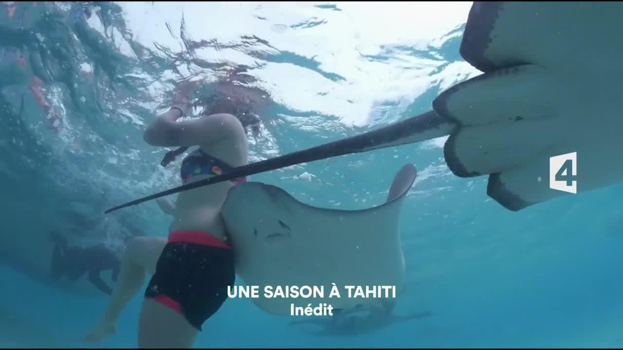 Une saison à Tahiti
