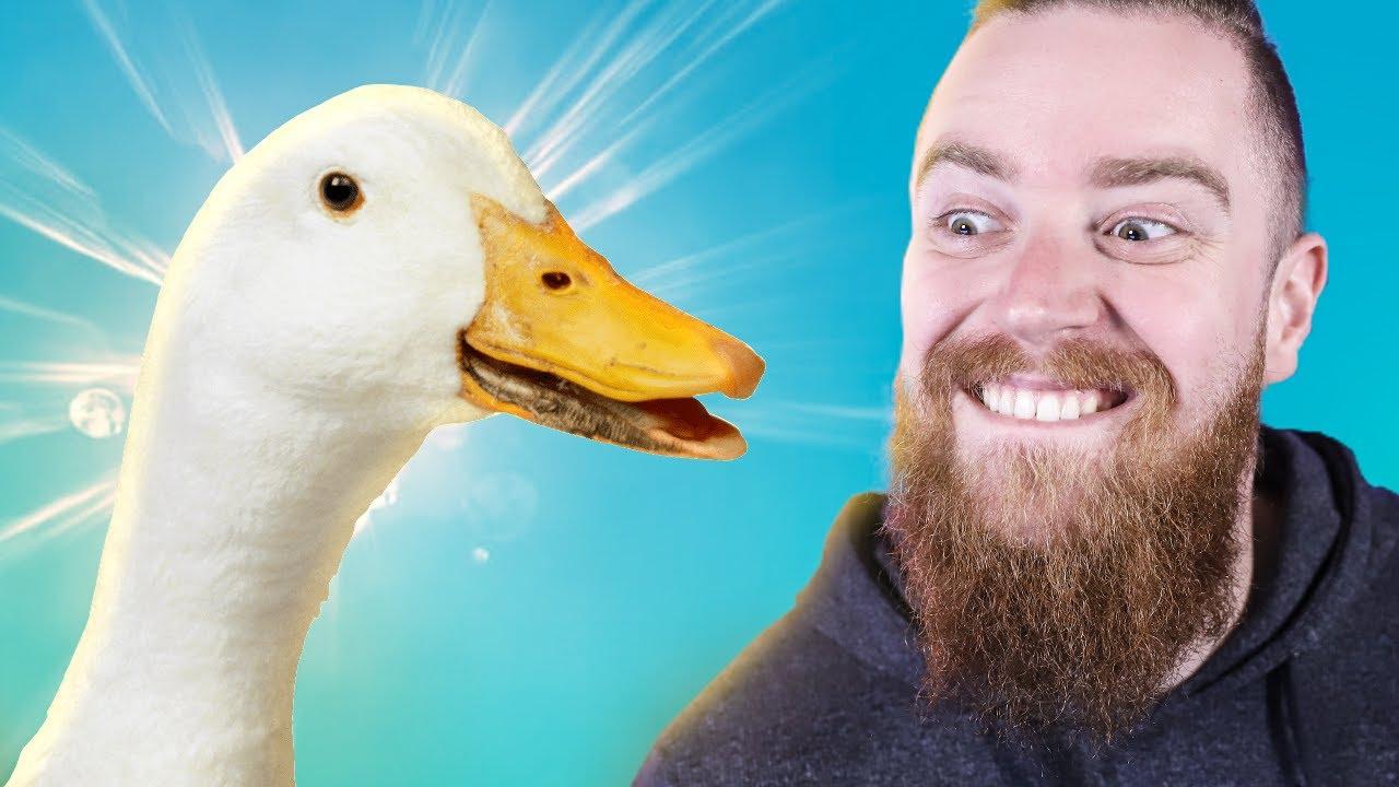 Untitled Goose Game - LubaTV Games