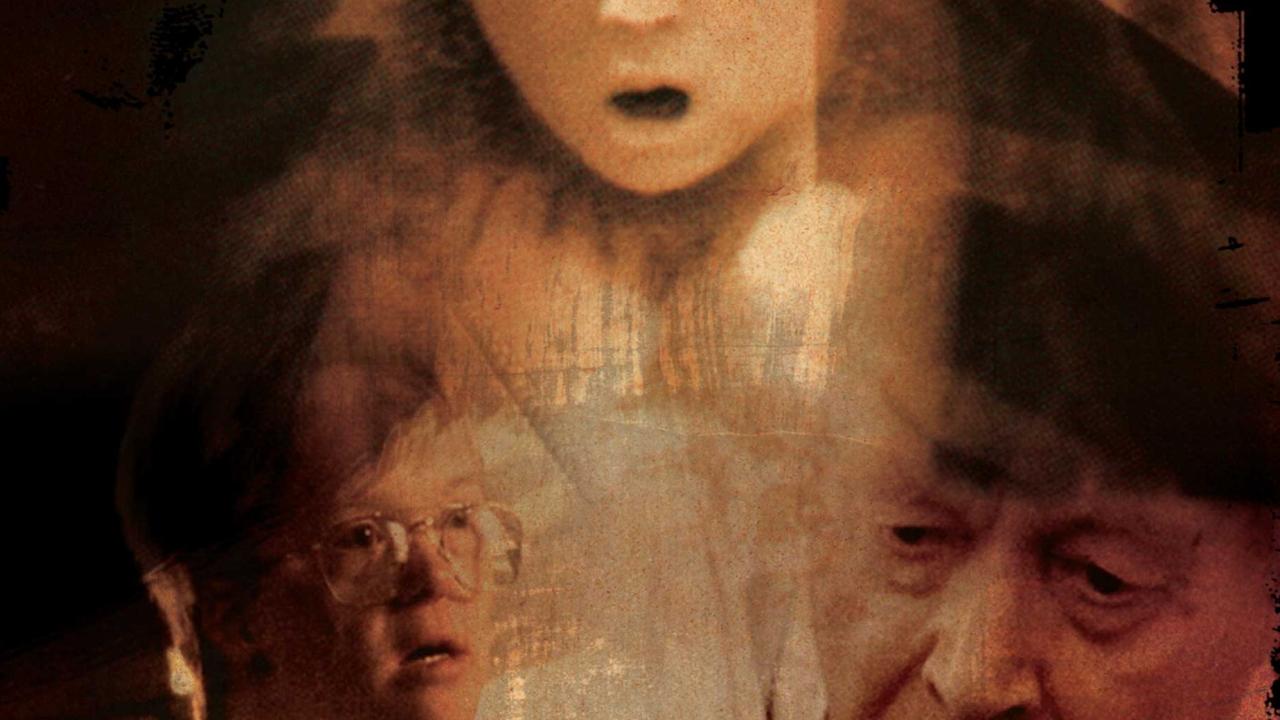 The Kingdom (1994)