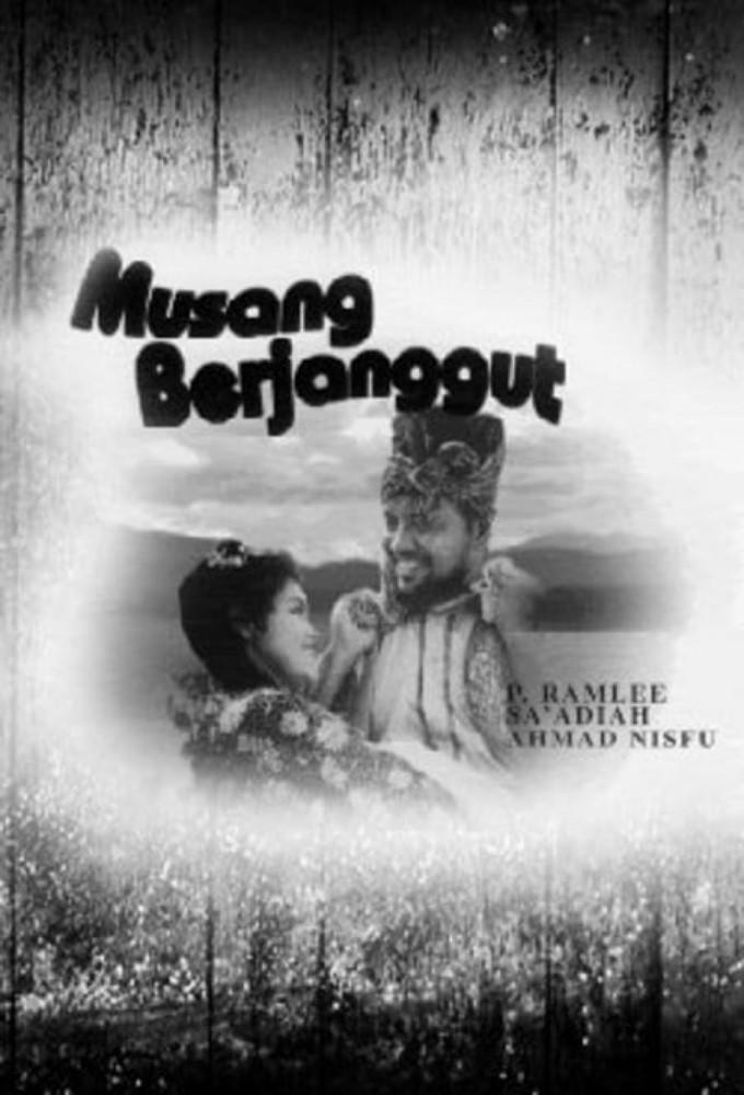 Musang Berjanggut
