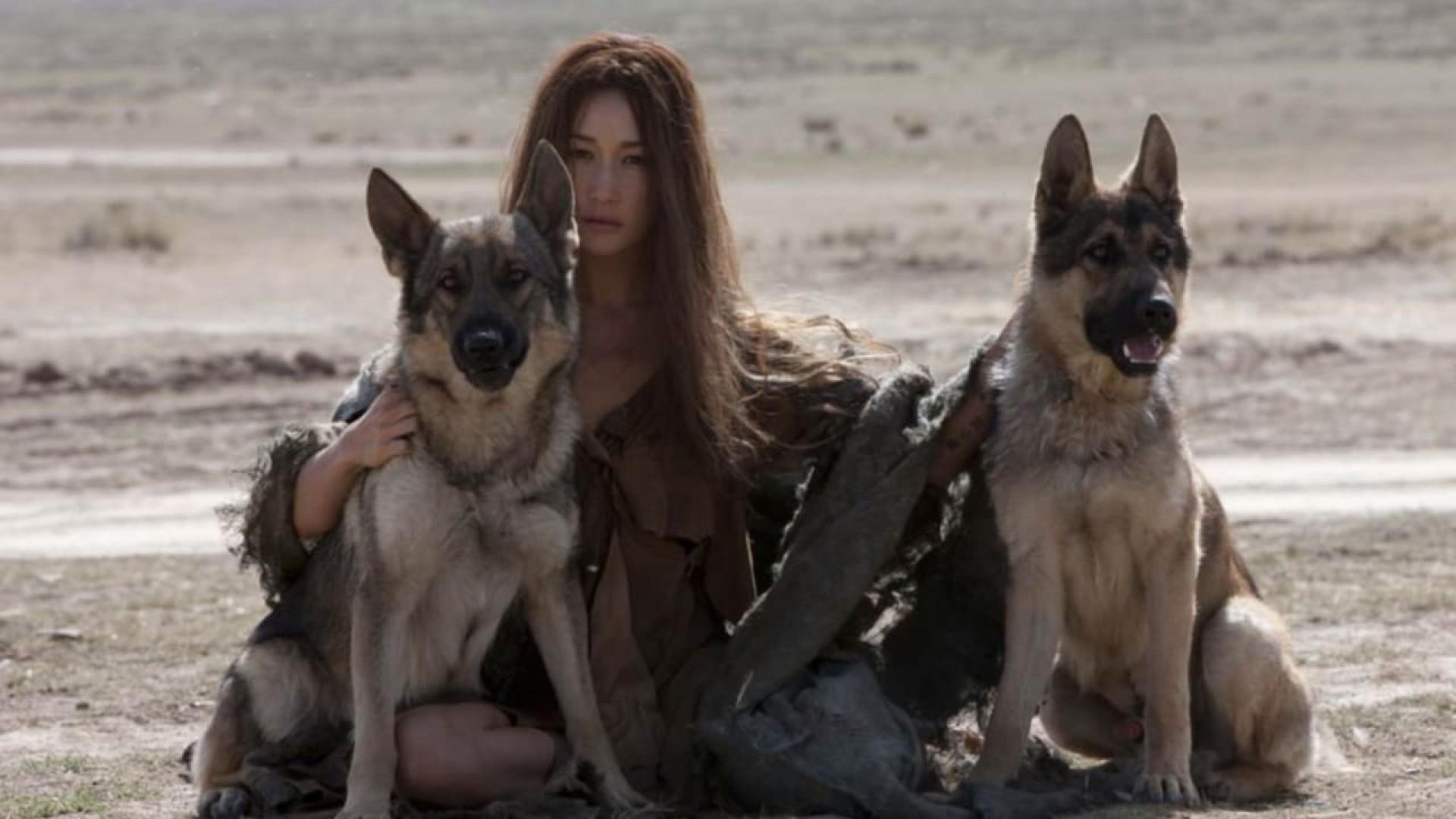 The Warrior and the Wolf