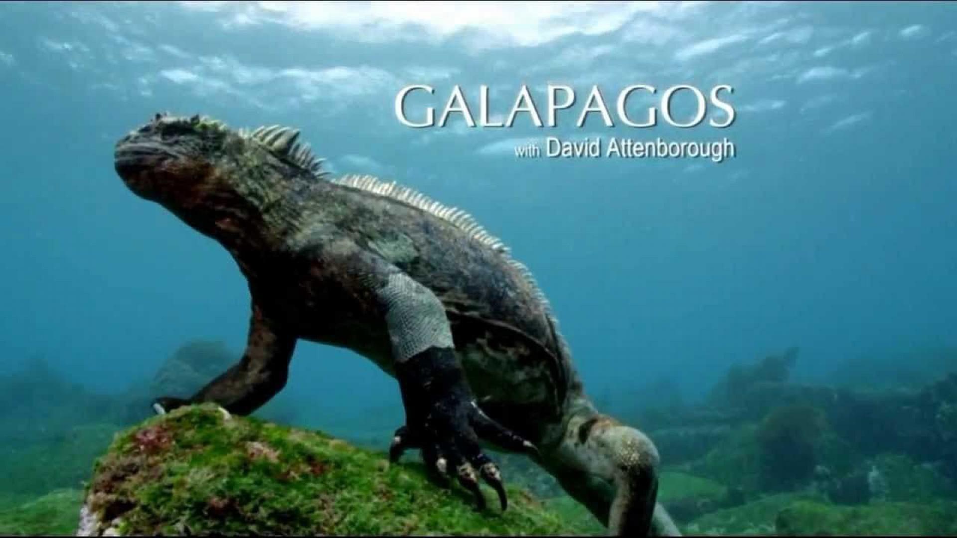 Galapagos with David Attenborough