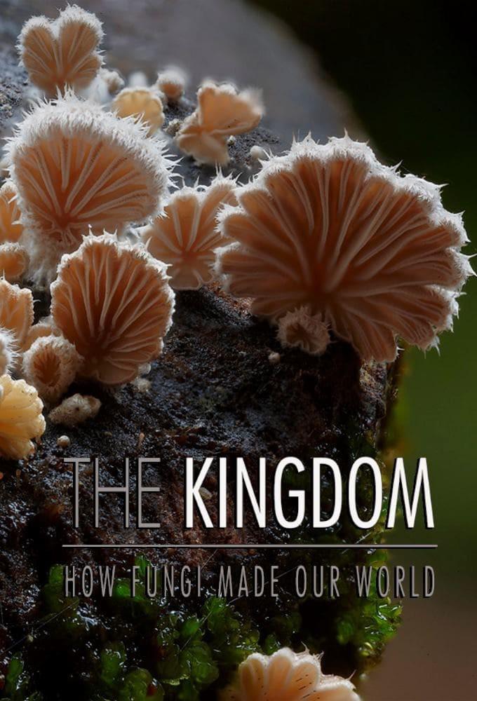 The Kingdom: How Fungi Made Our World