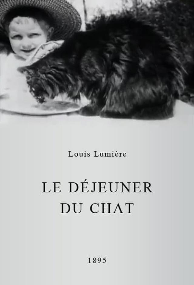 Le Déjeuner du Chat