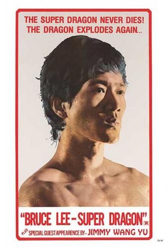 Legend of Bruce Lee