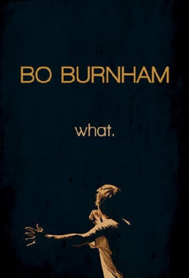 Bo Burnham: What.