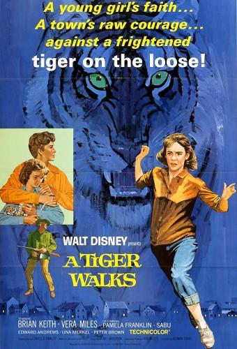 A Tiger Walks