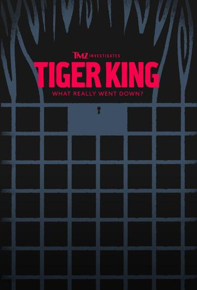 TMZ Investigates: Tiger King - What Really Went Down