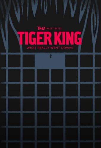 TMZ Investigates: Tiger King - What Really Went Down