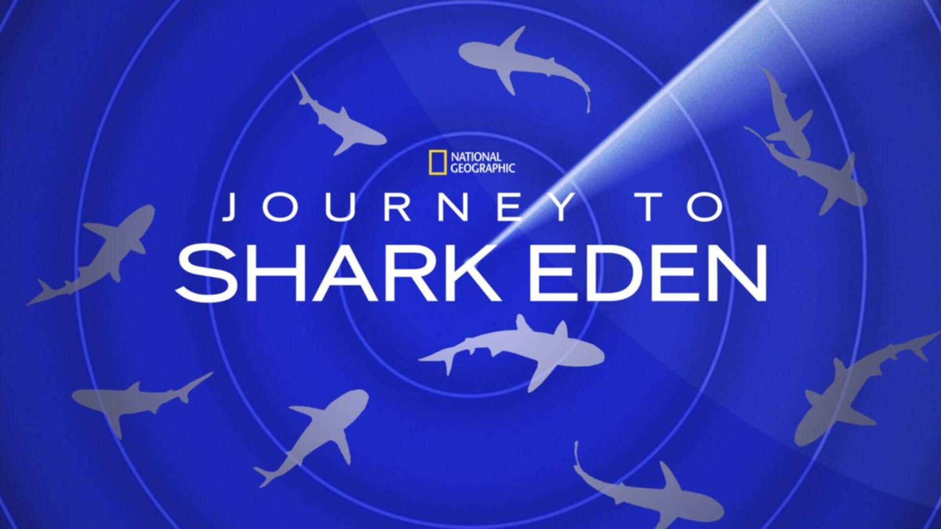 Journey to Shark Eden