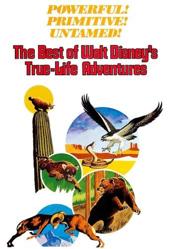 The Best of Walt Disney's True-Life Adventures