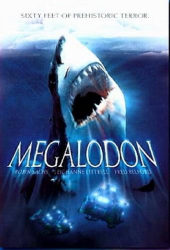 Megalodon