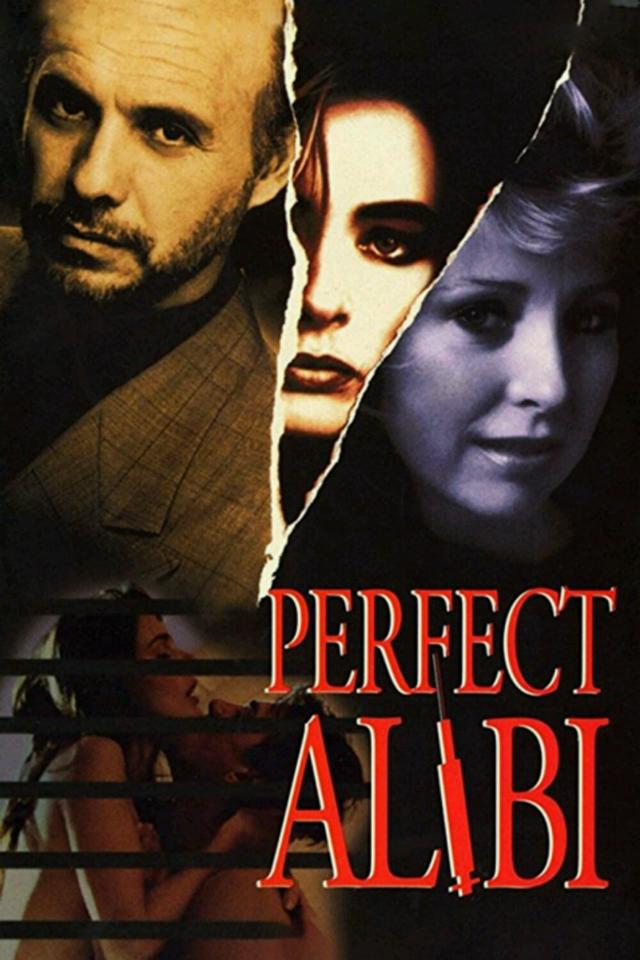 Das perfekte Alibi