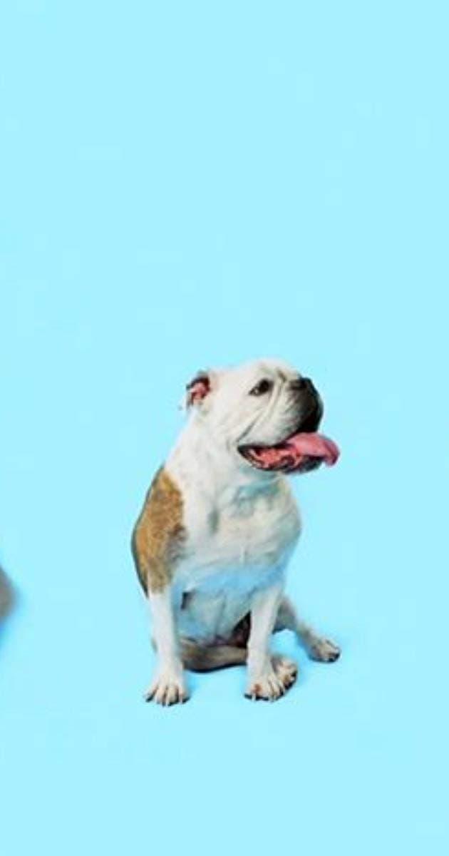 How Dogs Got Their Shapes