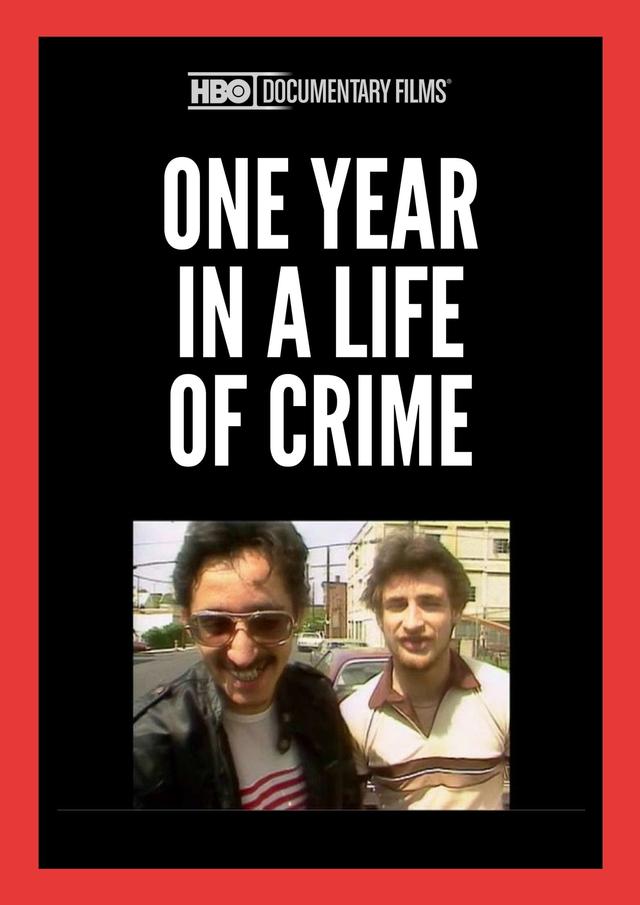 One Year in a Life of Crime