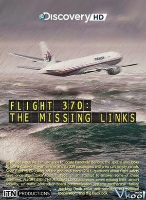 Flight 370: The Missing Links