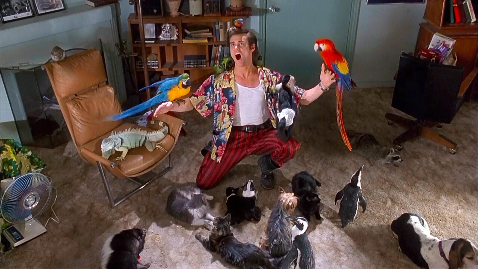 Ace Ventura: Pet Detective