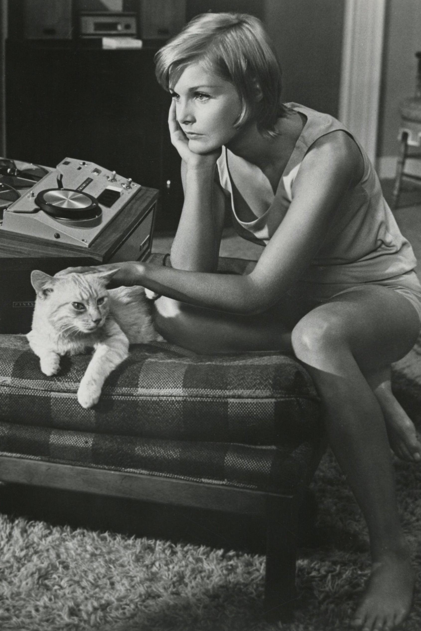 Once You Kiss a Stranger...