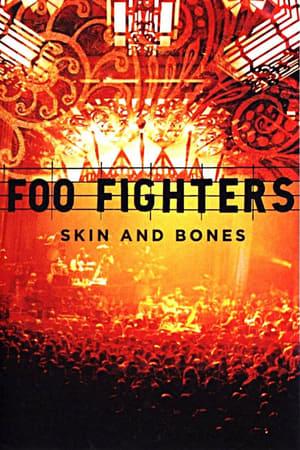 Foo Fighters: Skin and Bones