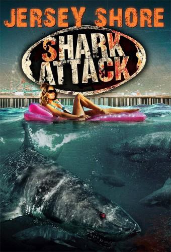 Jersey Shore Shark Attack