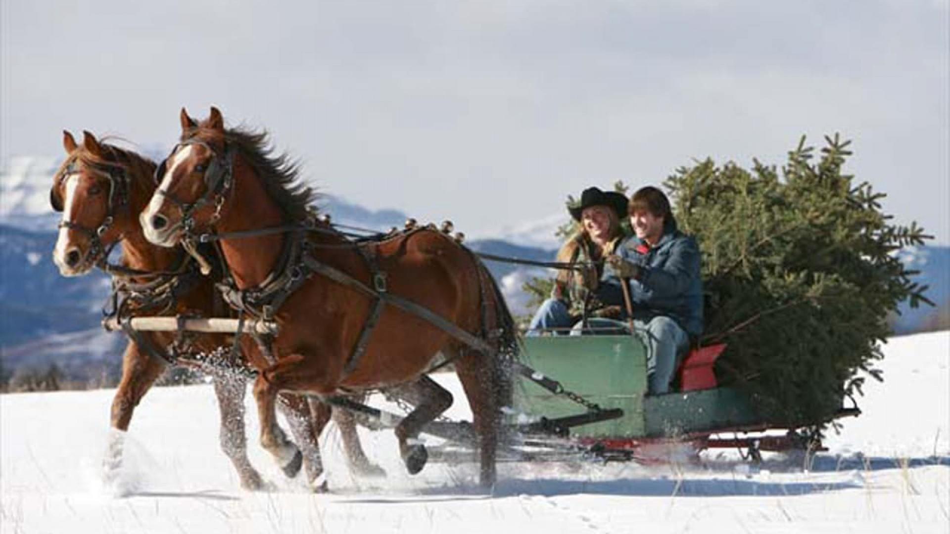 A Heartland Christmas