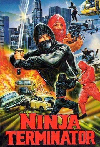 Ninja Terminator