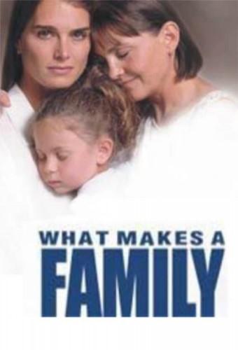 What Makes a Family