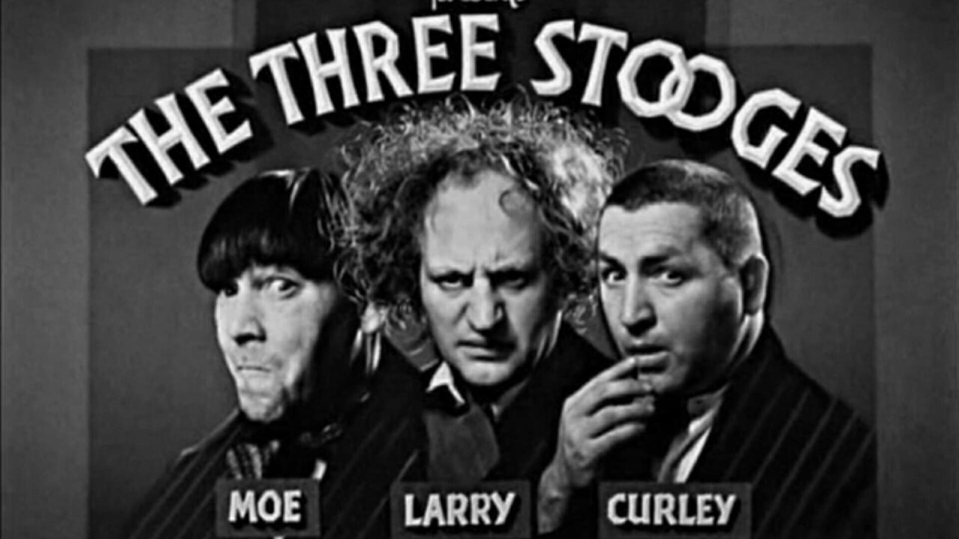 3 Dumb Clucks