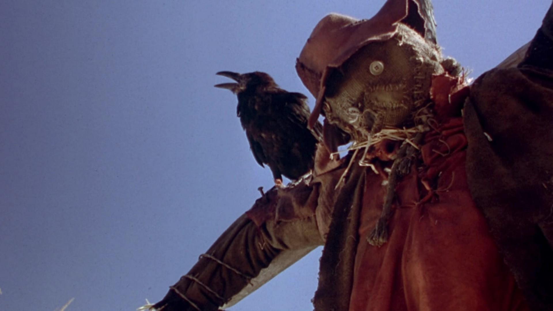 Night of the Scarecrow