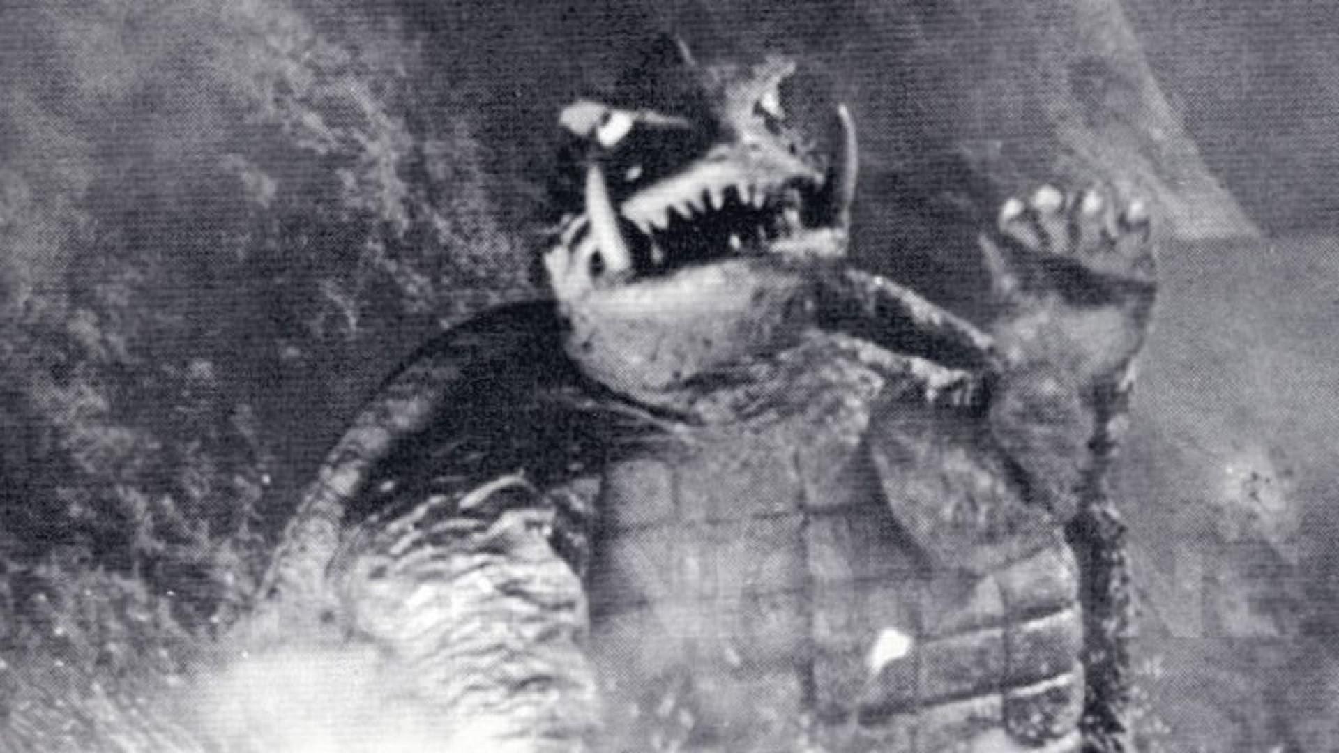 Gamera