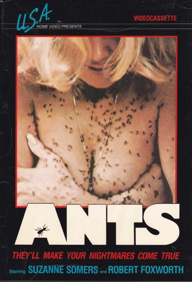 Ants