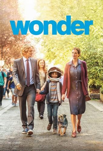 Wonder