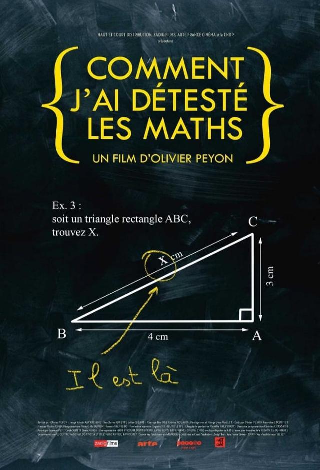 How I Came to Hate Math