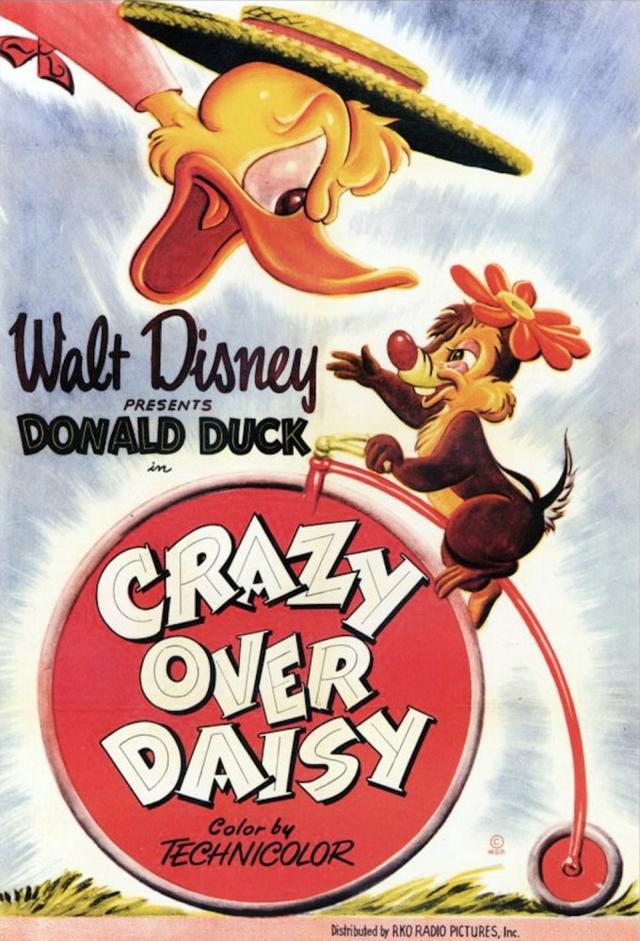 Crazy Over Daisy