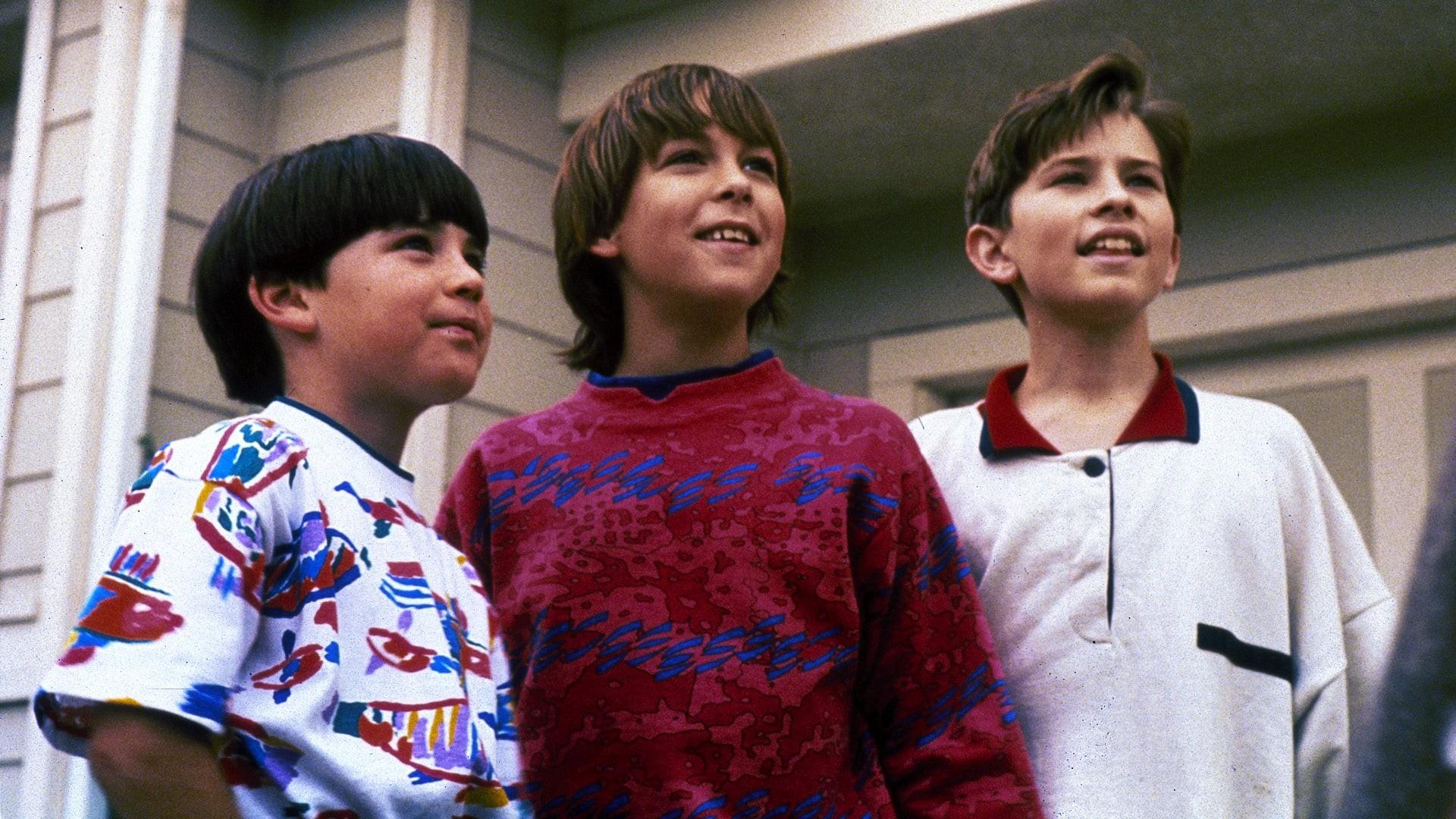 3 Ninjas