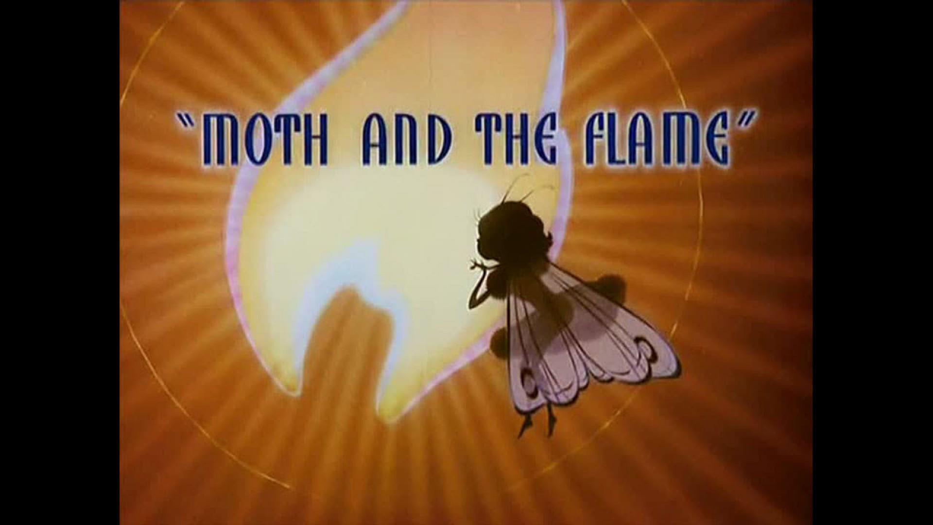 Moth and the Flame