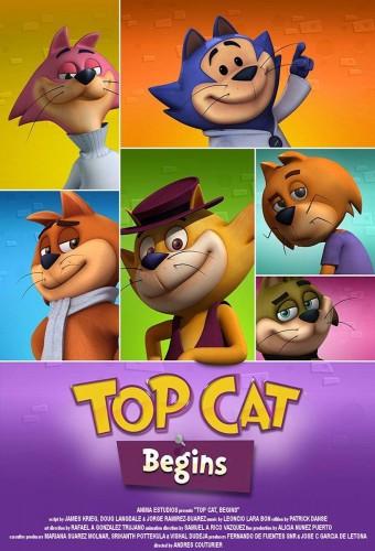 Top Cat Begins