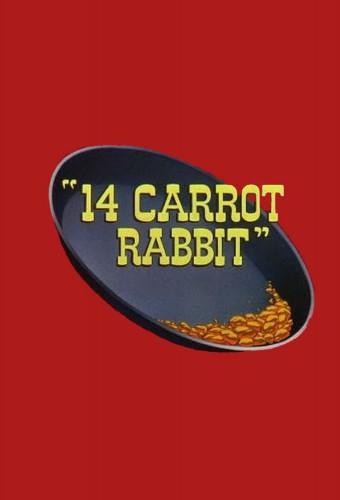 14 Carrot Rabbit