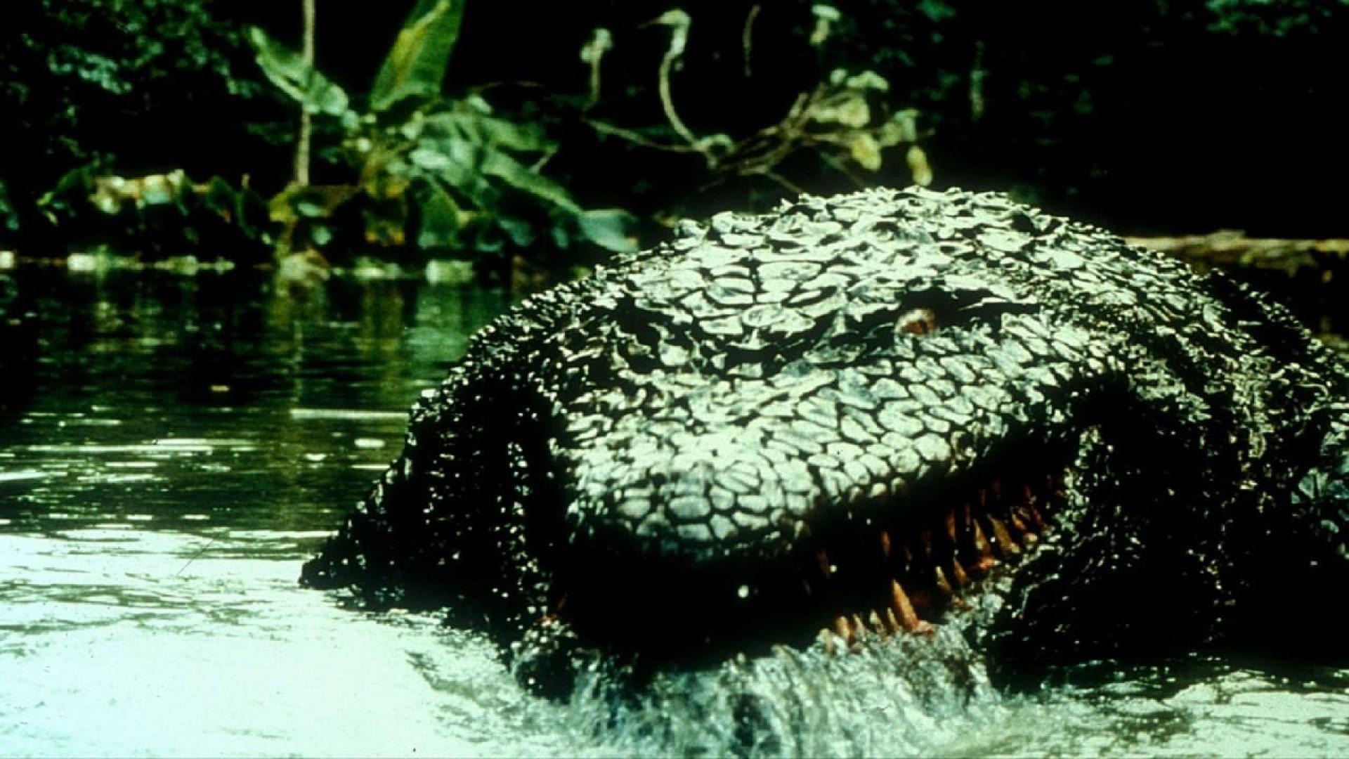 Cocodrilo asesino II