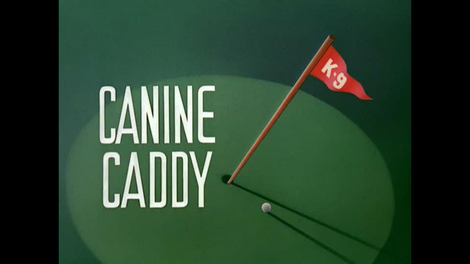 Canine Caddy