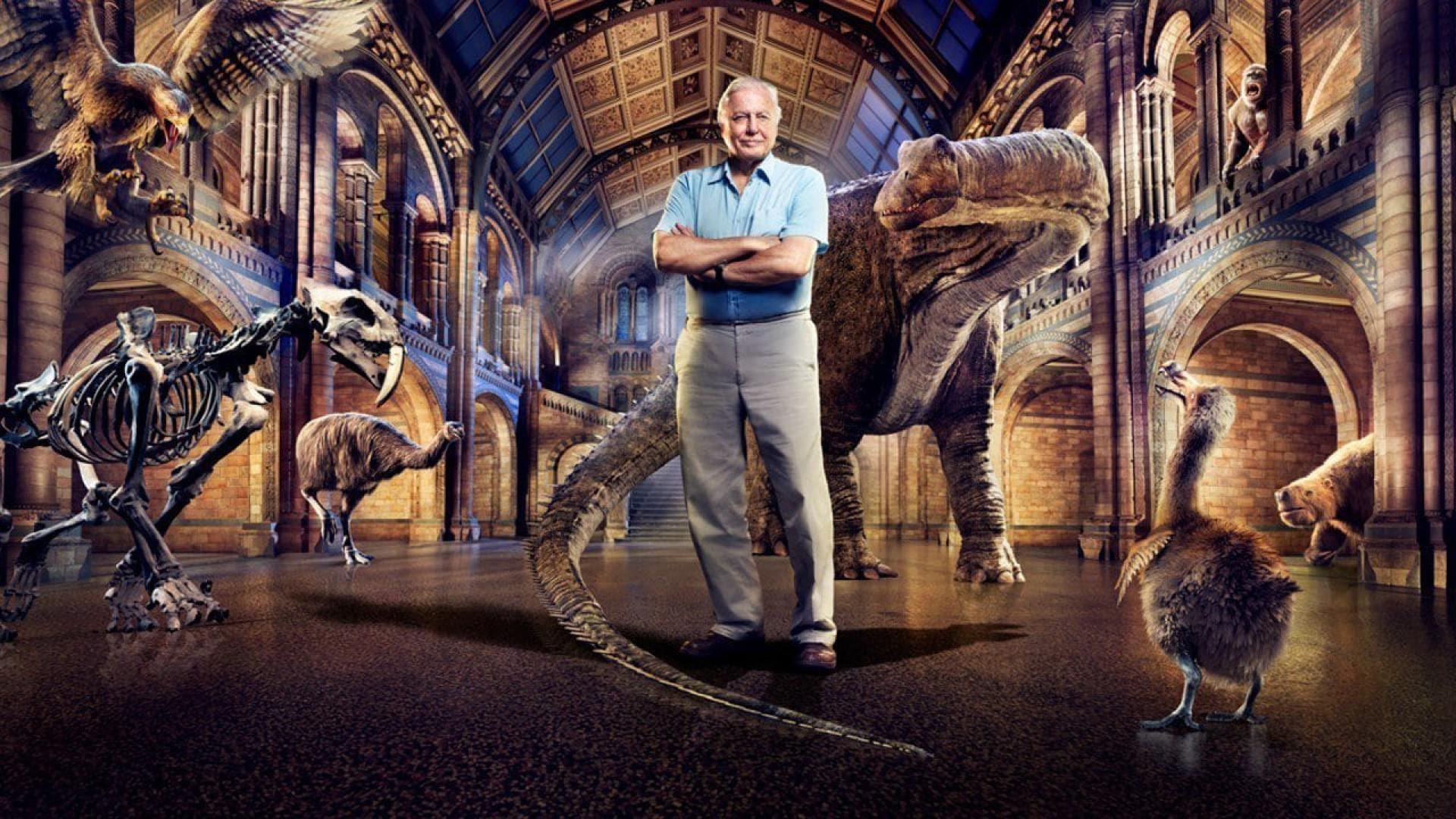 David Attenborough's Natural History Museum Alive