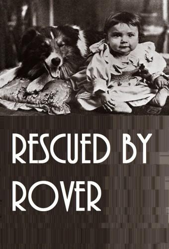 Rescued by Rover