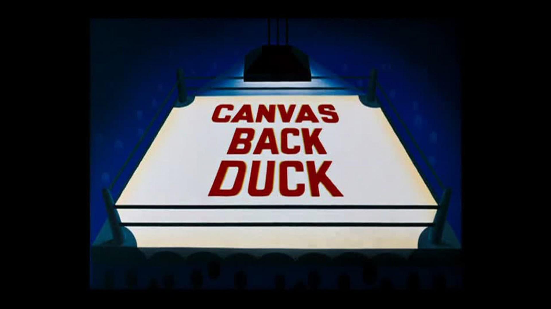 Canvas Back Duck