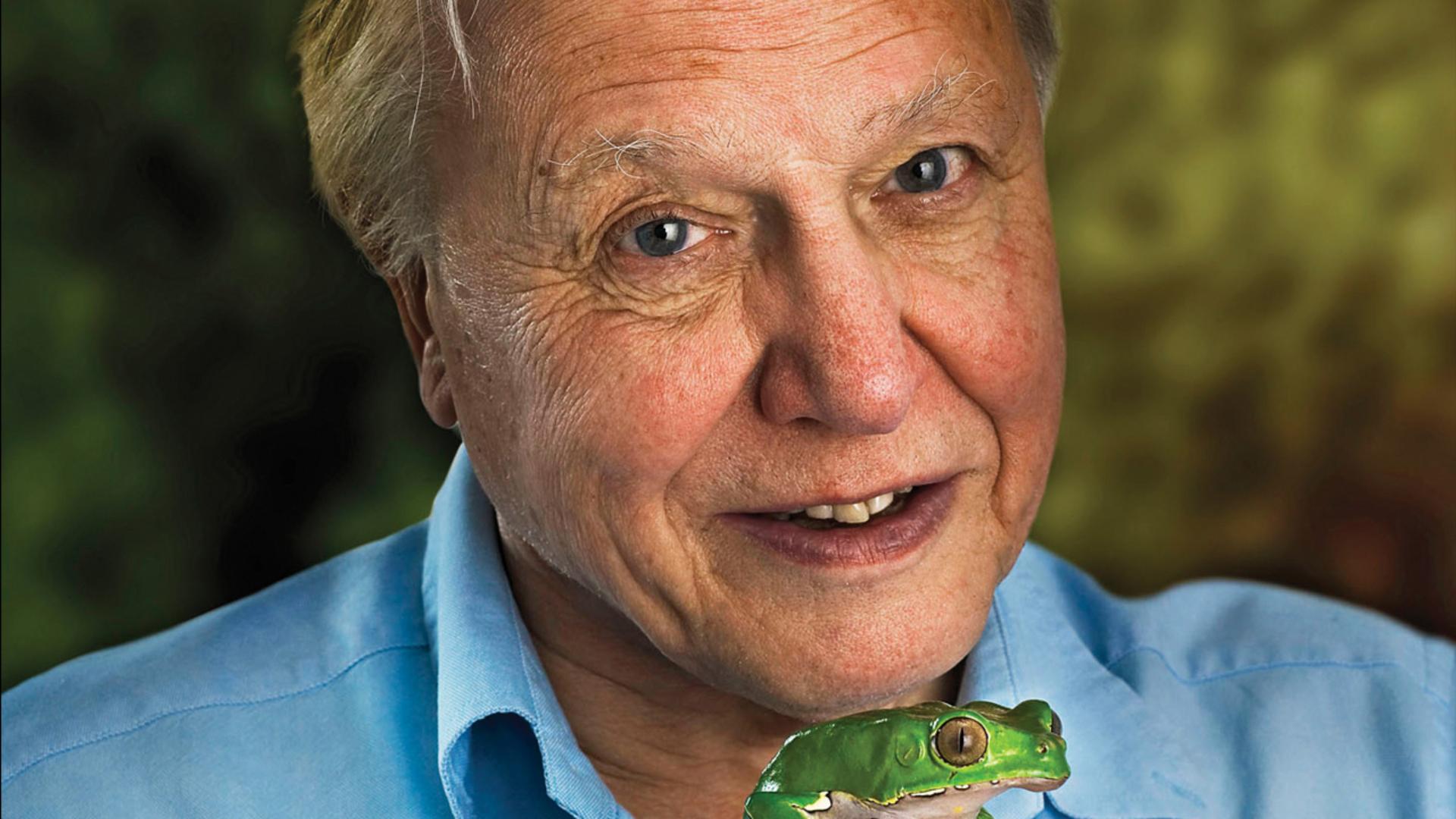 Life on Air: David Attenborough's 50 Years in Television