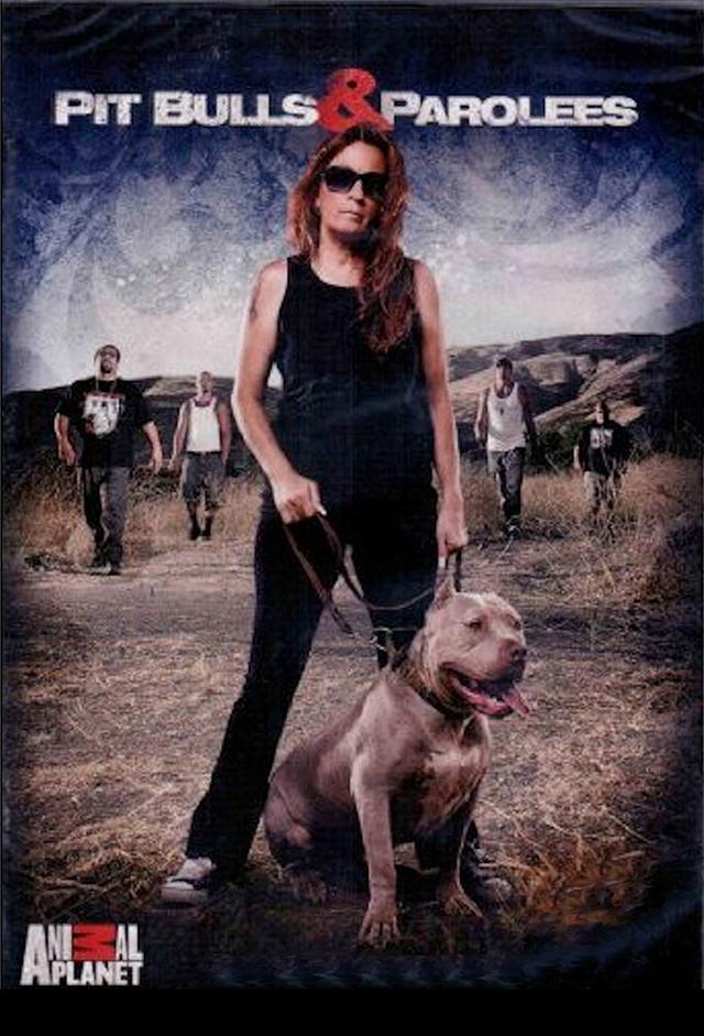 Pit Bulls and Parolees