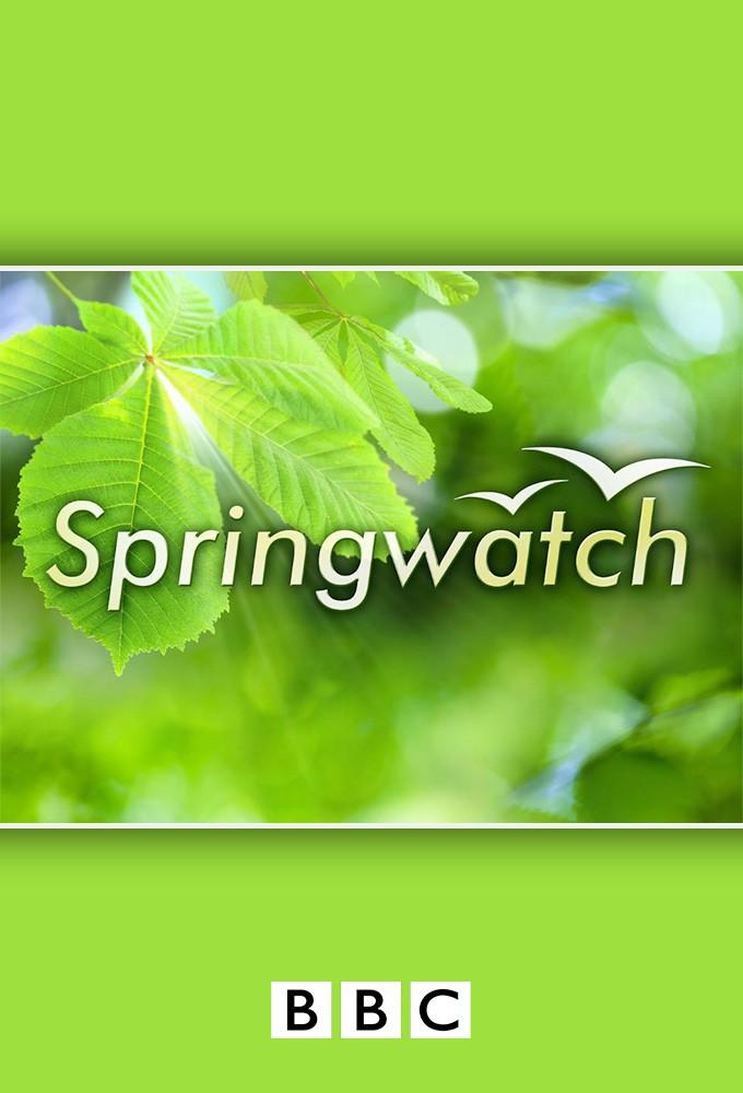 Springwatch
